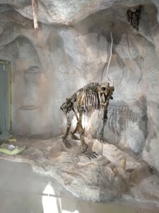 Чепеларе музей