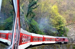 Теснолинейка